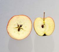 Prima æbler overskårne